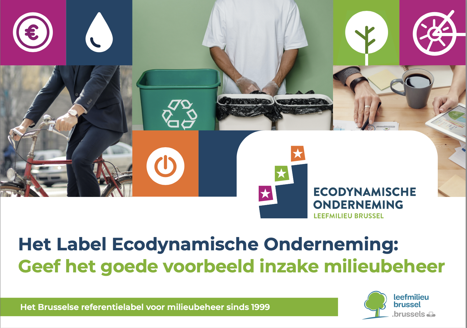 ECODYN